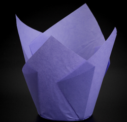 Изображение Капсула Тюльпан сиреневая, 5 х 8 см